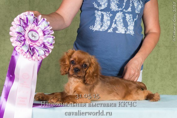 ФОУР ОФ КИНД ТОММИ  CWbaby.jpg